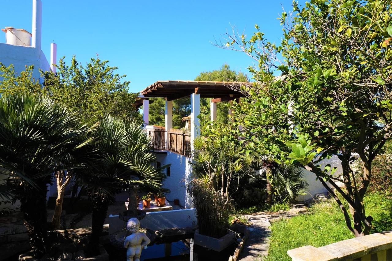 Finca La Siesta - Villa In Betlem, Mallorca Колонья-де-Сан-Педро Экстерьер фото